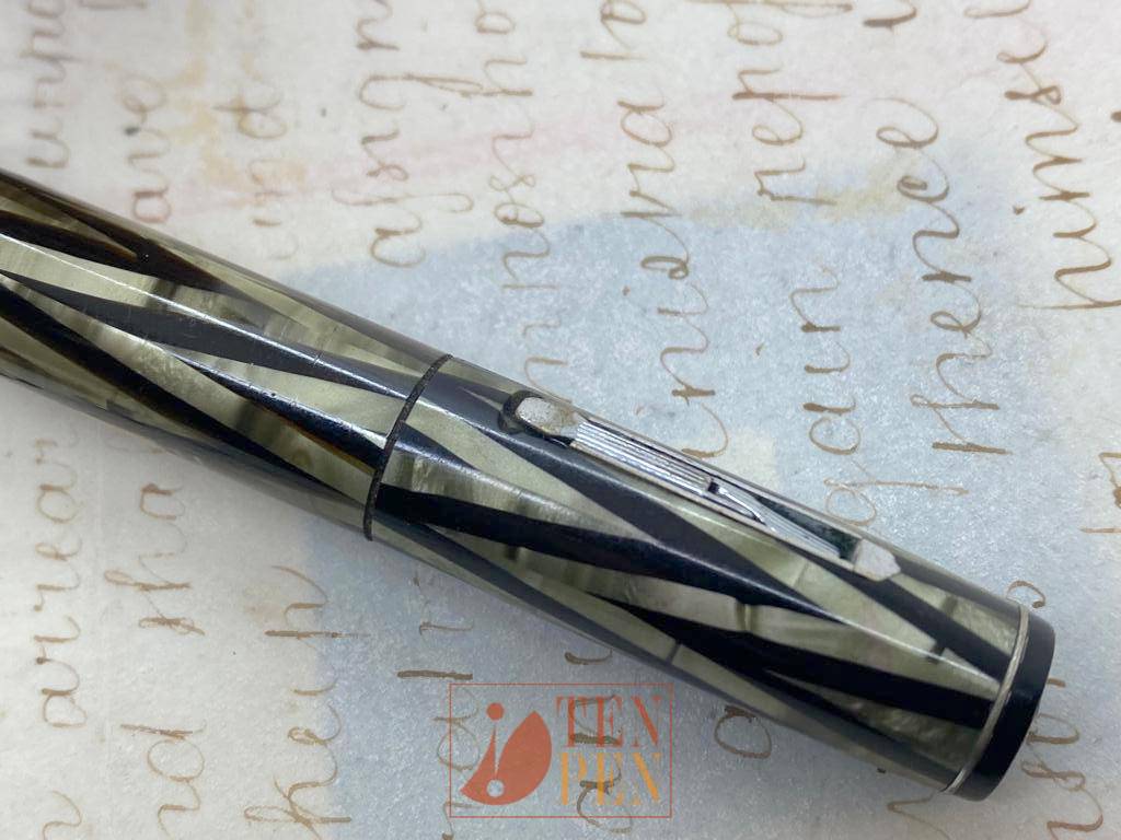 WATERMAN INK VUE - SILVER RAY | Tenpen - By Letizia Iacopini